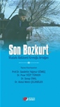 Son Bozkurt  MUSTAFA ABDÜLCEMİL KIRIMOĞLU ARMAĞANI